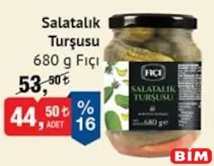 FIÇI SALATALIK TURŞUSU 680 G fiyat ve kampanya bilgisi
